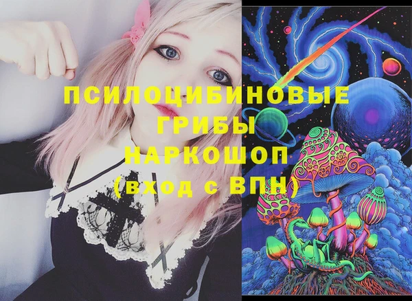 PSILOCYBIN Армянск