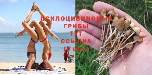 mix Арсеньев