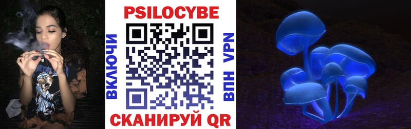 наркотики  Багратионовск  Галлюциногенные грибы Psilocybine cubensis 